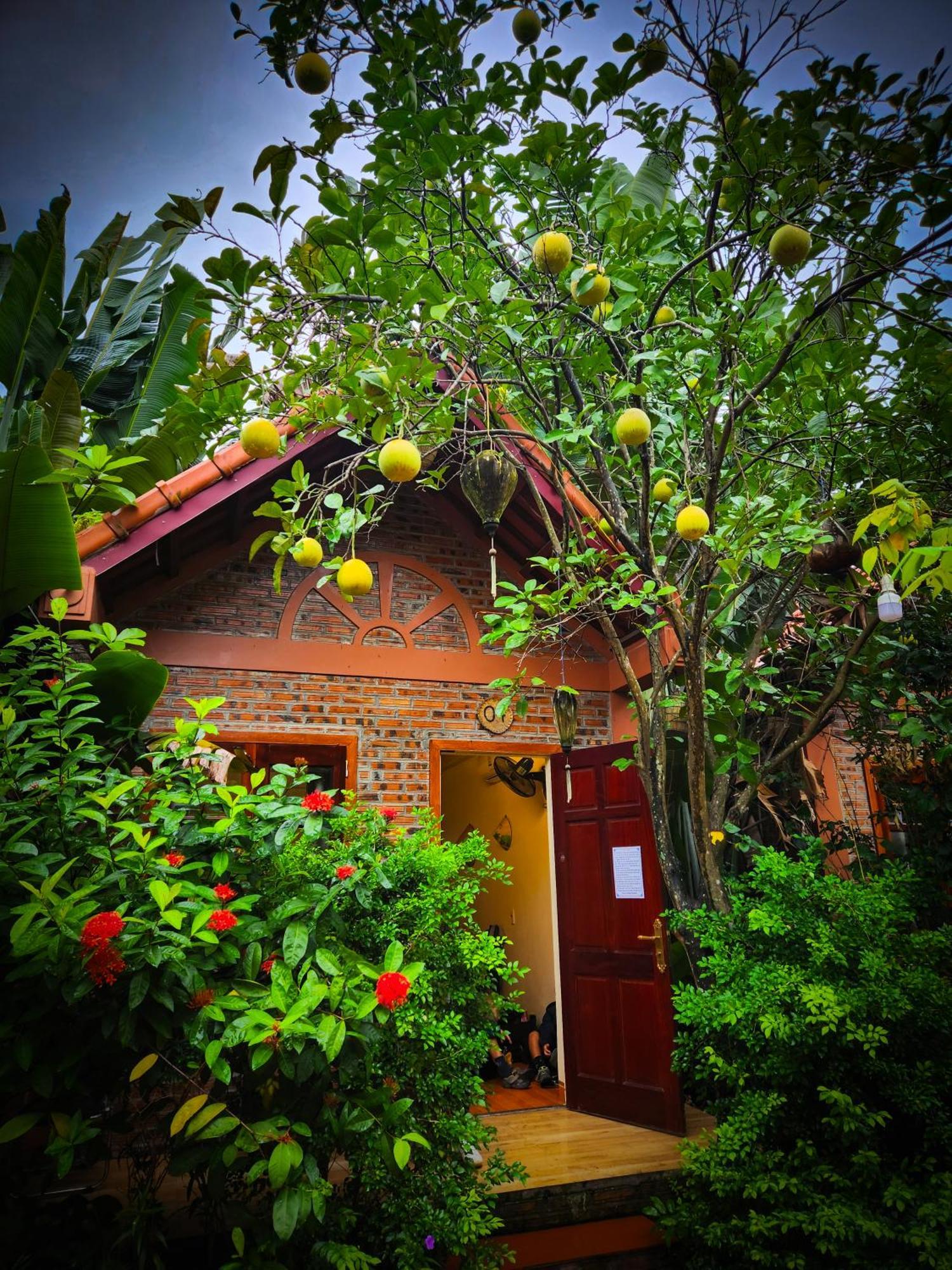 Trang An Village Homestay Ninh Binh Bagian luar foto